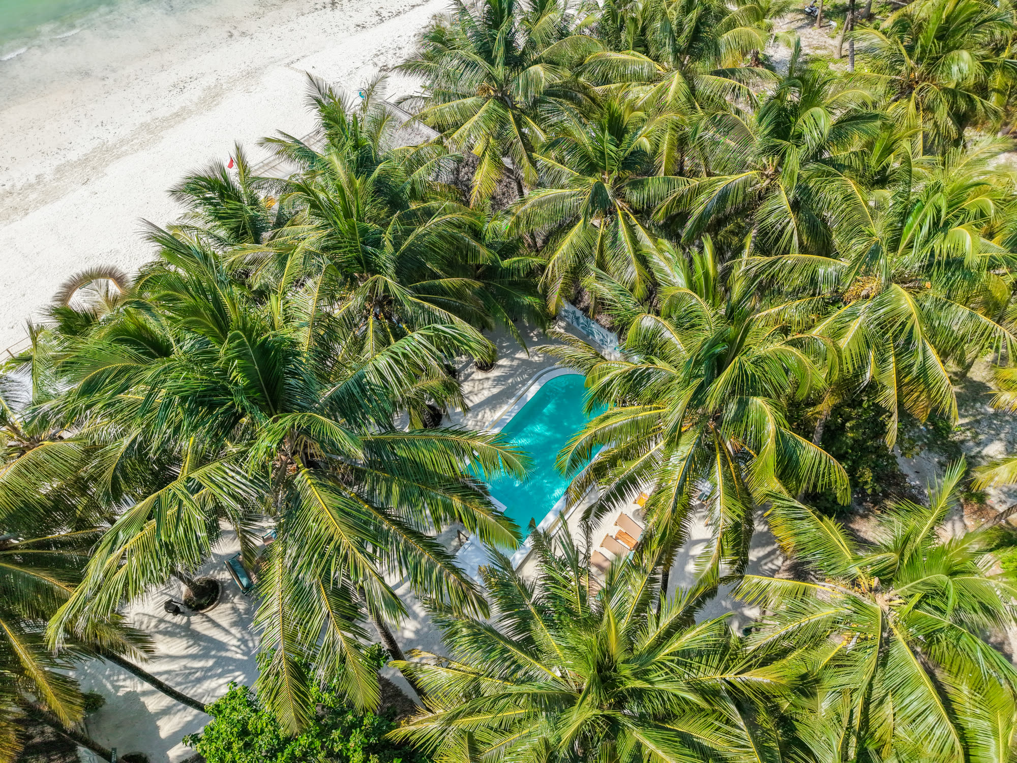 Mintaka Hotel pośród palm, tuż przy plaży w Bwejuu